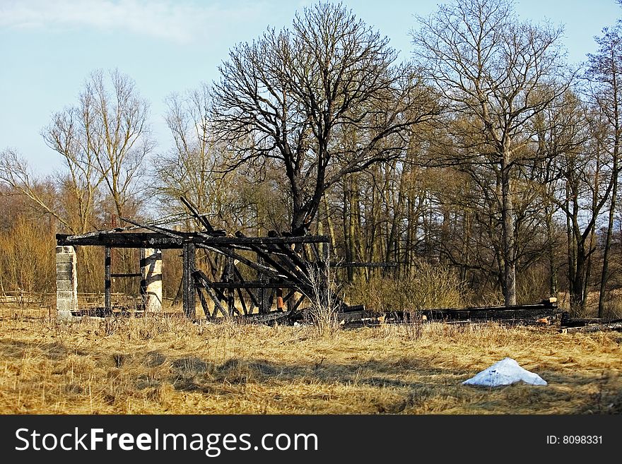 Damaged house and tree after conflagration. Damaged house and tree after conflagration