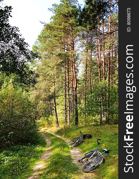 Two bicycles lay on a wood road. Two bicycles lay on a wood road