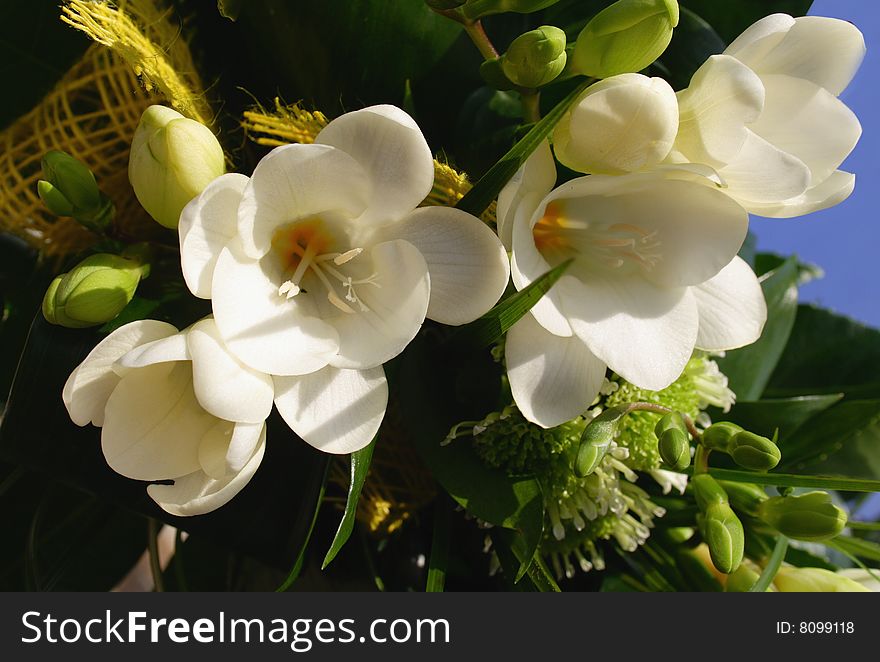 Spring Bouquet