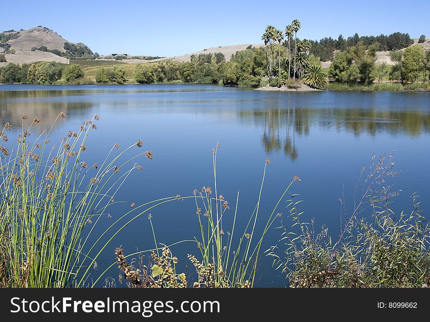 Tranquil blue reflecting lake in California. Tranquil blue reflecting lake in California