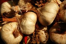 Garlic Cloves Royalty Free Stock Photography Garlic Cloves Royalty Free Stock Photography