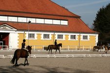 Danish Horse Farm Royalty Free Stock Photo