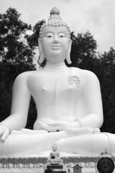 Giant Buddha Royalty Free Stock Image