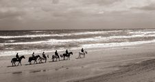 Danish Horses On The Beach Royalty Free Stock Photography