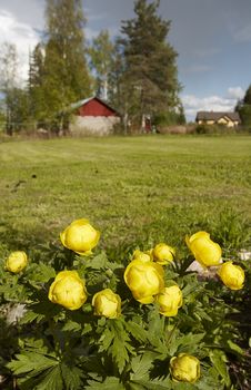 Spring Landscape Stock Photos Spring Landscape Stock Photos