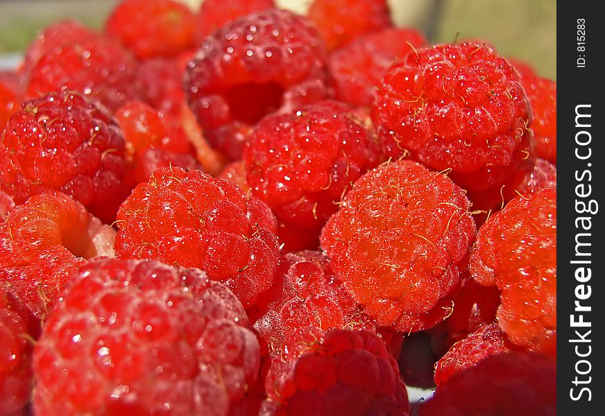 Raspberries 3