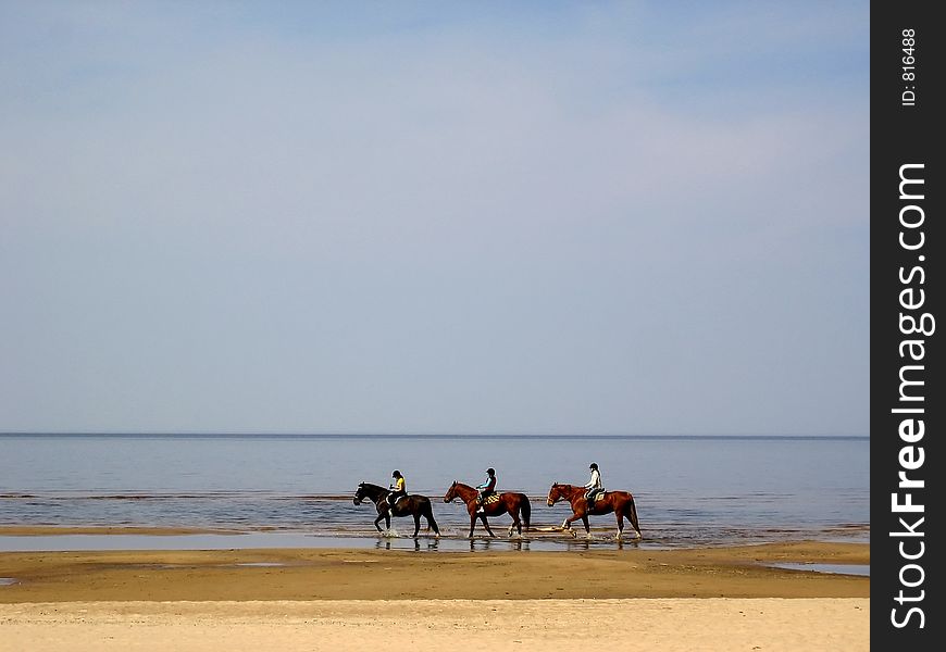 Three horses on seacoast.
