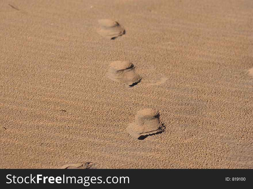 Footstep on a beach sand