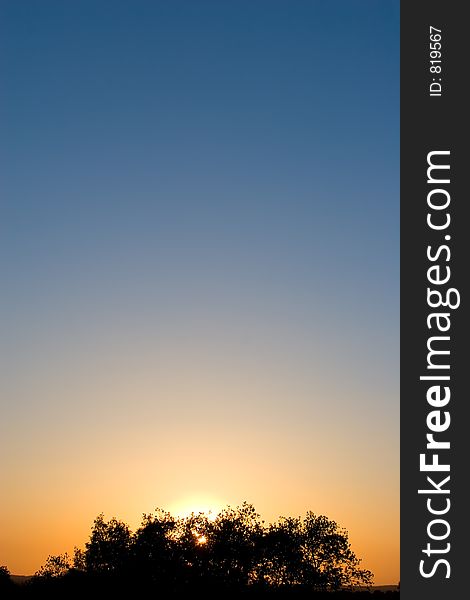 Sunset with tree branches in Spain. Sunset with tree branches in Spain