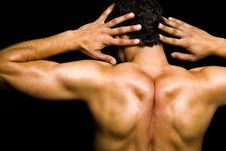 Back Of Muscular Athletic Man Stock Photography Back Of Muscular Athletic Man Stock Photography