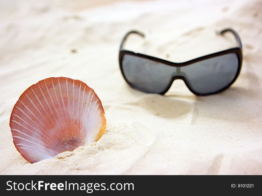 Sunglasses and sea shell lying on the sand. Sunglasses and sea shell lying on the sand