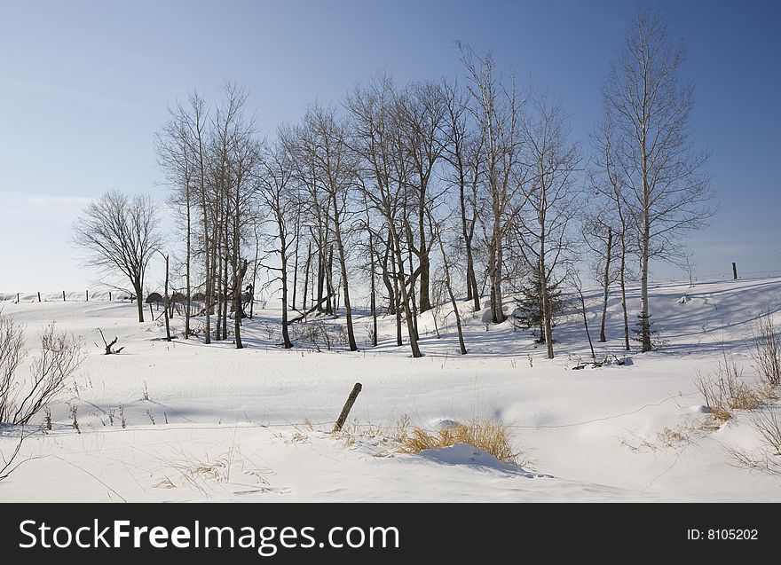 Winter scene on a rural northern Minnesota farm. Winter scene on a rural northern Minnesota farm