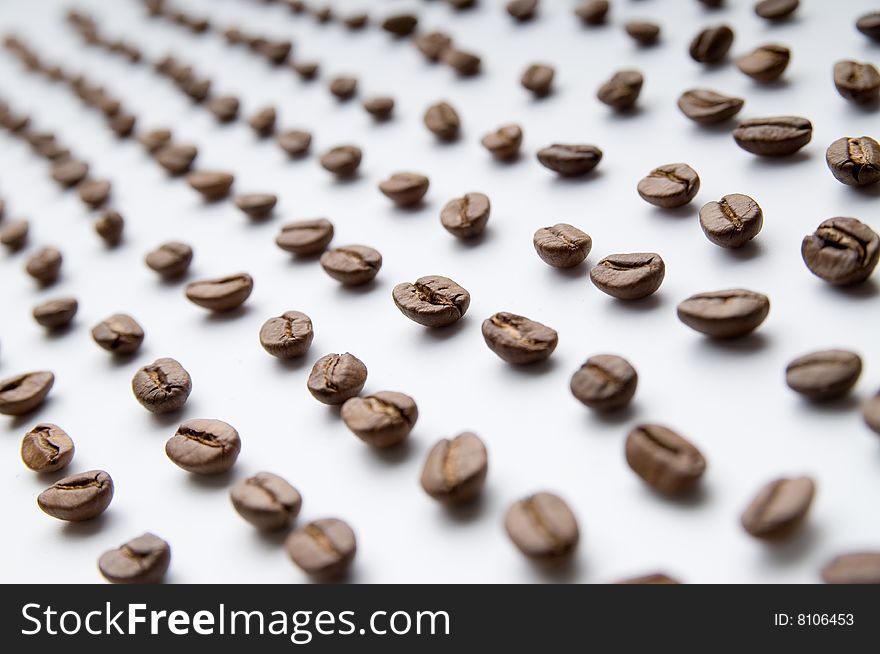 Lines of grains on the white surface