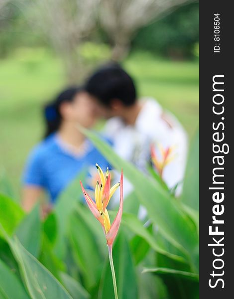 Bird of paradise flower with blurred couple as background