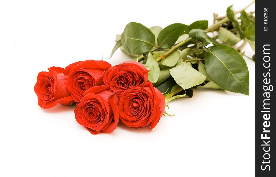 Red roses isolated on white. Red roses isolated on white