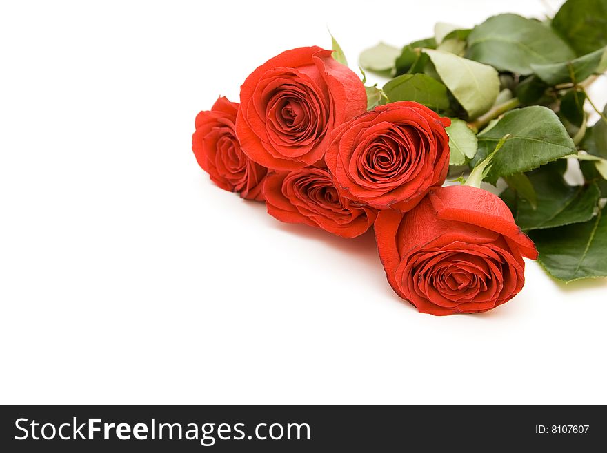 Bouquet of red roses isolated. Bouquet of red roses isolated
