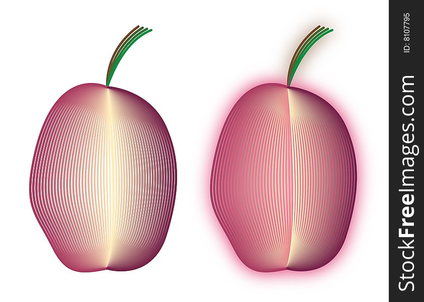 Two drawings of plums drawn with using parallel line technique. Two drawings of plums drawn with using parallel line technique.