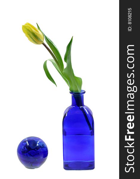 Beautiful tulip in a dark blue vase and a glass sphere. Beautiful tulip in a dark blue vase and a glass sphere