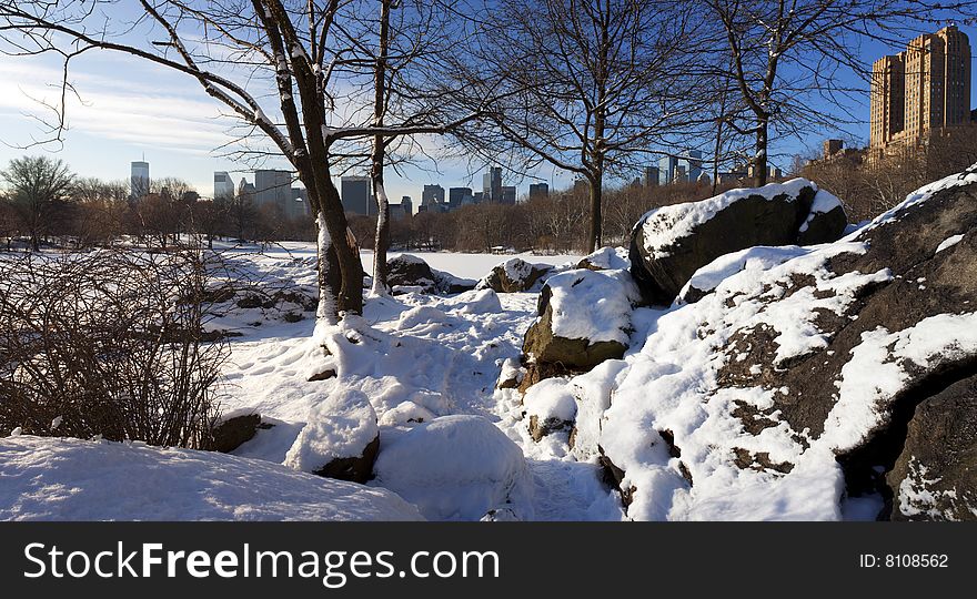 Lake after snow storm in central park