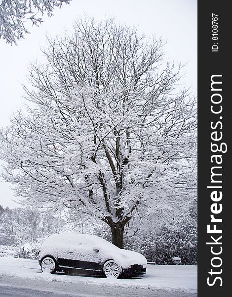 Parked car under tree in heavy snowfall. Parked car under tree in heavy snowfall