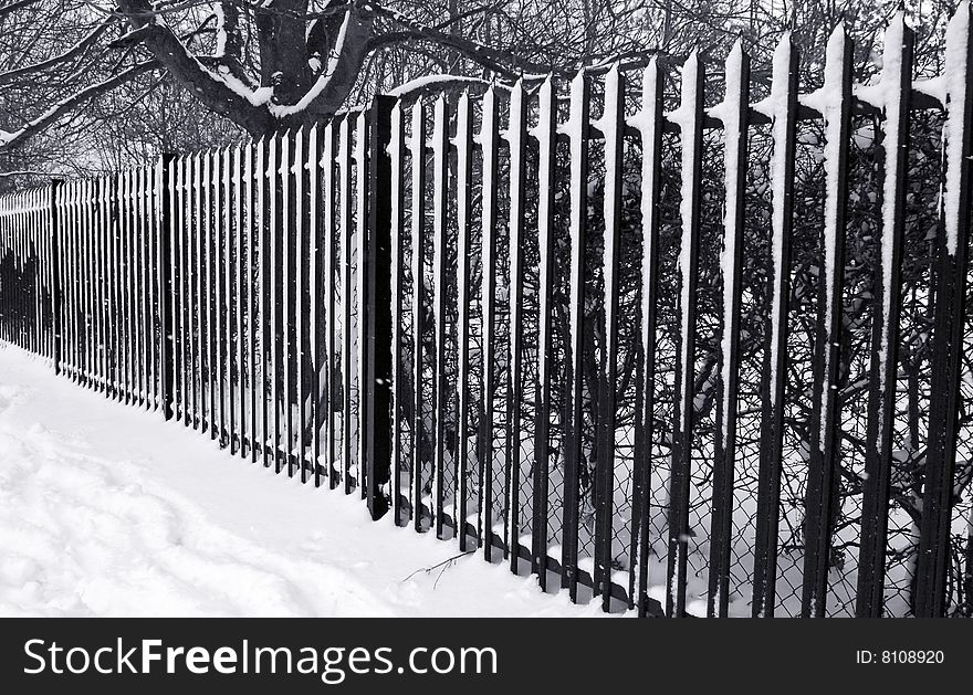 Snow covered metal railings with diminishing perspective