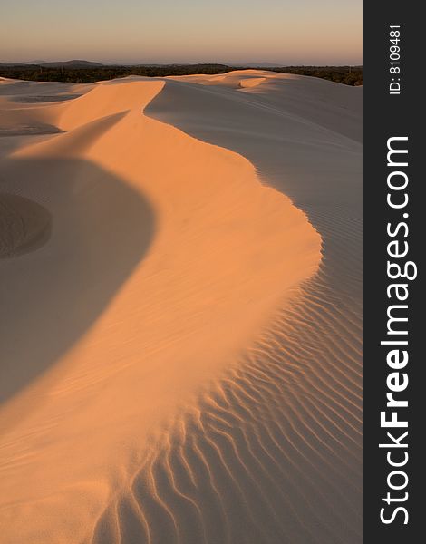 Stockton sand dunes in Anna Bay, NSW, Australia. Beautiful sand ripples and curves with dramatic shadows. Taken shortly before sunset. Stockton sand dunes in Anna Bay, NSW, Australia. Beautiful sand ripples and curves with dramatic shadows. Taken shortly before sunset.