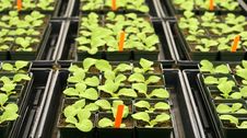 Greenhouse Stock Image Greenhouse Stock Image