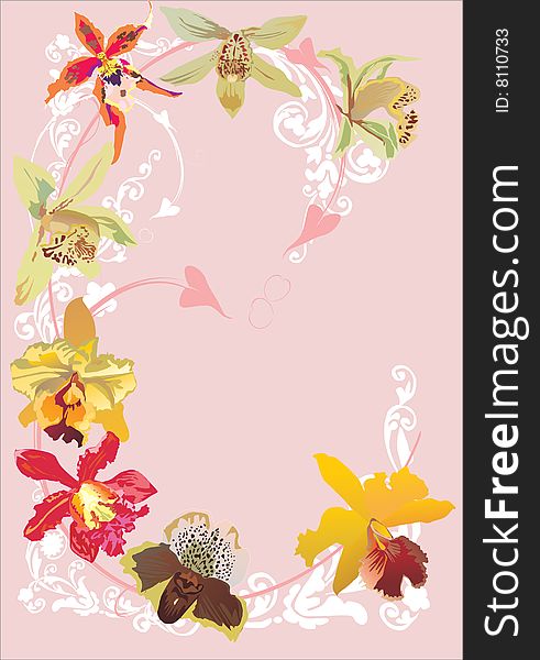 Illustration with orchid decoration isolated on pink background. Illustration with orchid decoration isolated on pink background