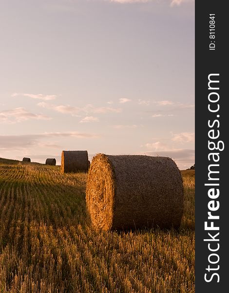 Autumn field and straw piles