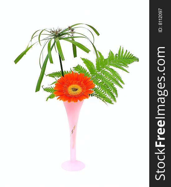 One flower and green leaf in pink vase isolated on white