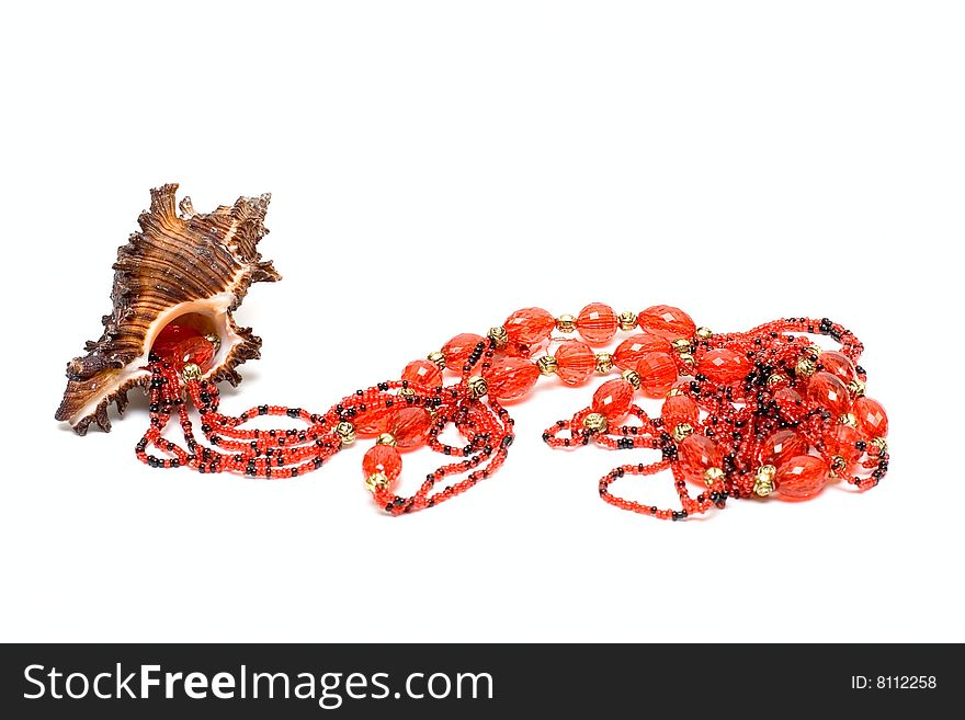 Ocean cockleshell and beads isolated on white