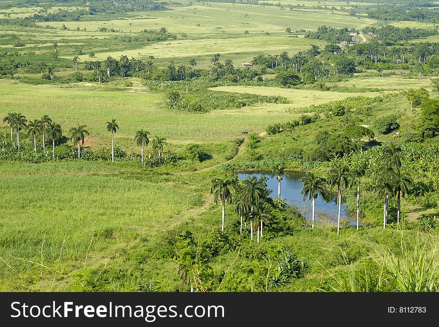 A view of rural tropical landscape with vegetation on cuban countryside. A view of rural tropical landscape with vegetation on cuban countryside