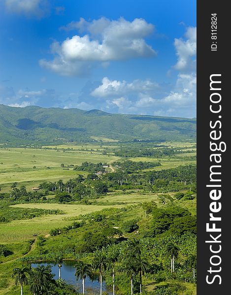 A view of rural tropical landscape with vegetation on cuban countryside. A view of rural tropical landscape with vegetation on cuban countryside