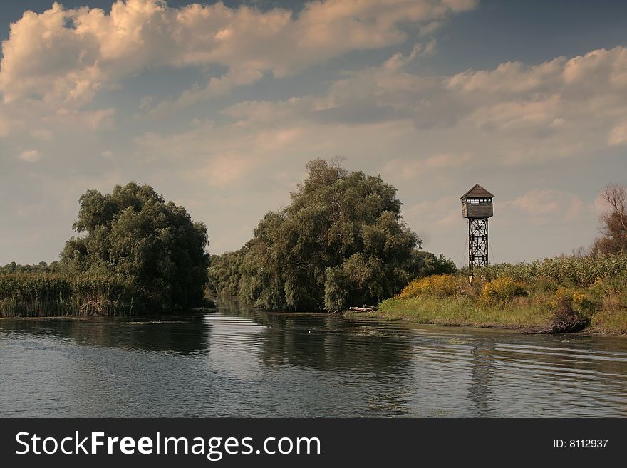 Danube Delta landscape with trees and reeds