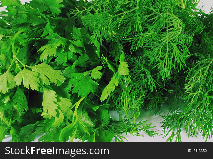 Green parsley and dill by a close up. Green parsley and dill by a close up