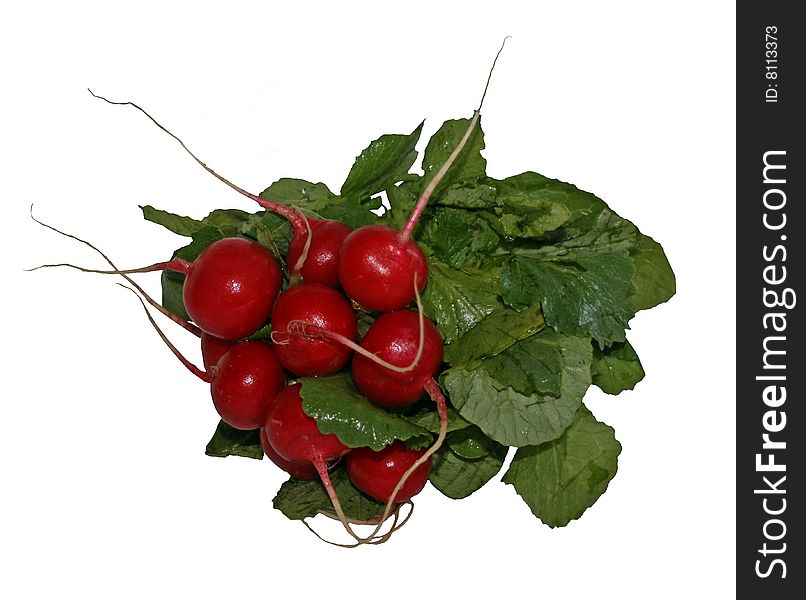 A small bunch of red radishes. A small bunch of red radishes