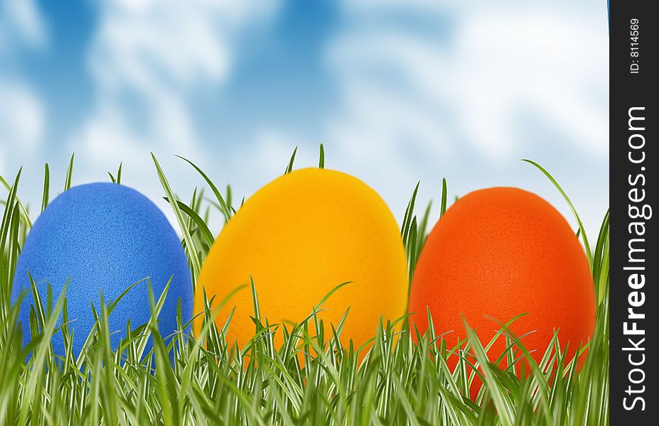 Easter Eggs In Spring Grass