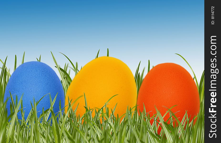 Easter eggs in spring grass