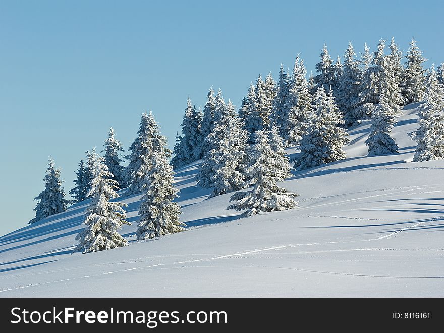 landscape of the winter in french alps
