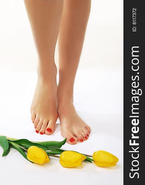 Pedicured feet and yellow tulips