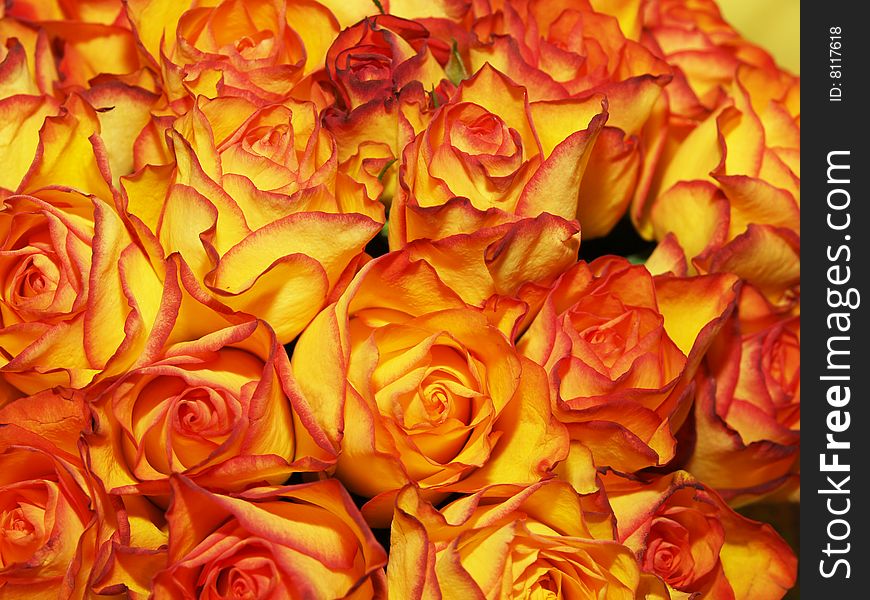 Bouquet of orange-yellow roses in detail