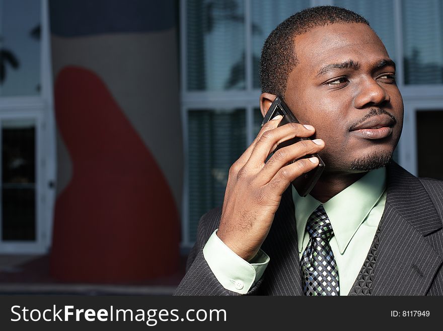 Young businessman talking on a cellphone. Young businessman talking on a cellphone