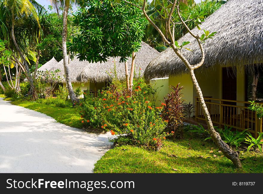 Bungalows in jungles - sand pathway, flowers and trees