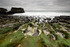 Mossy Rocks On A California Beach Royalty Free Stock Images Mossy Rocks On A California Beach Royalty Free Stock Images