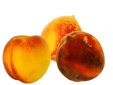 Fruit Peaches Royalty Free Stock Photo Fruit Peaches Royalty Free Stock Photo