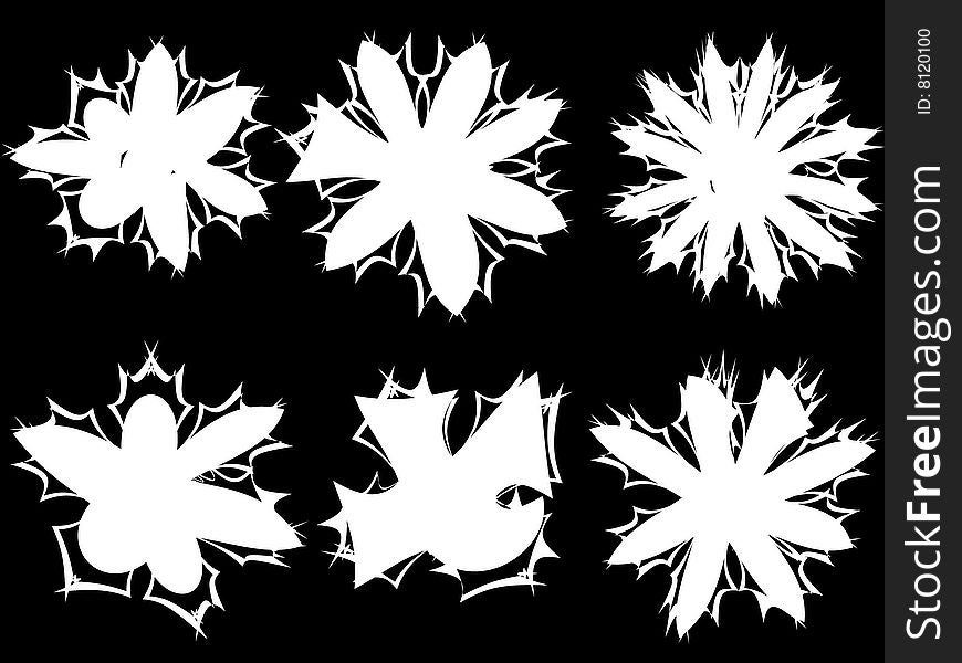 Six pieces of white abstract flowers on black background.