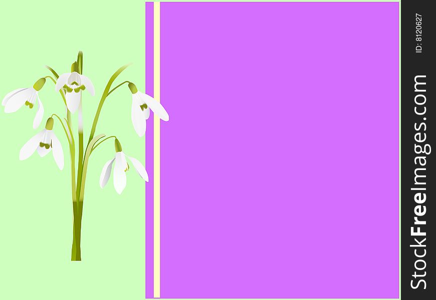 Holiday or business card with spring flowers (rasterize from vector)