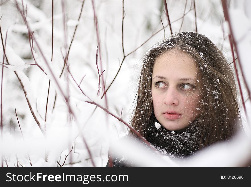 Girl In Winter Forest