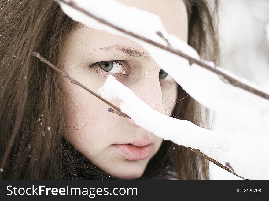 Young green eyed woman between snow branches. Young green eyed woman between snow branches