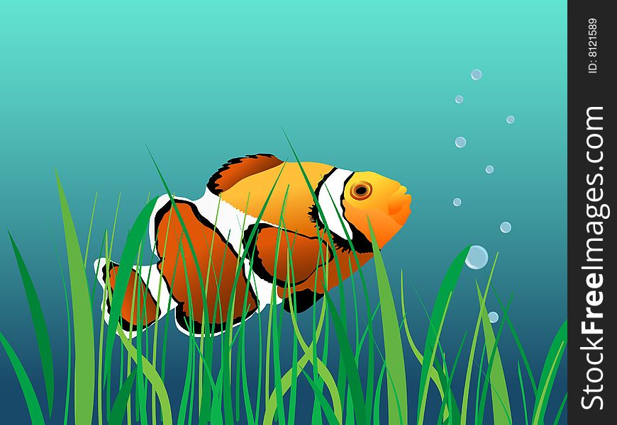 Vector illustration of sea water clown fish